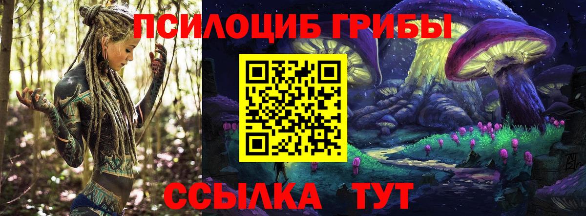 Семёнов  Псилоцибиновые грибы ЛСД  Галлюциногенные грибы Psilocybine cubensis  Вход с VPN 